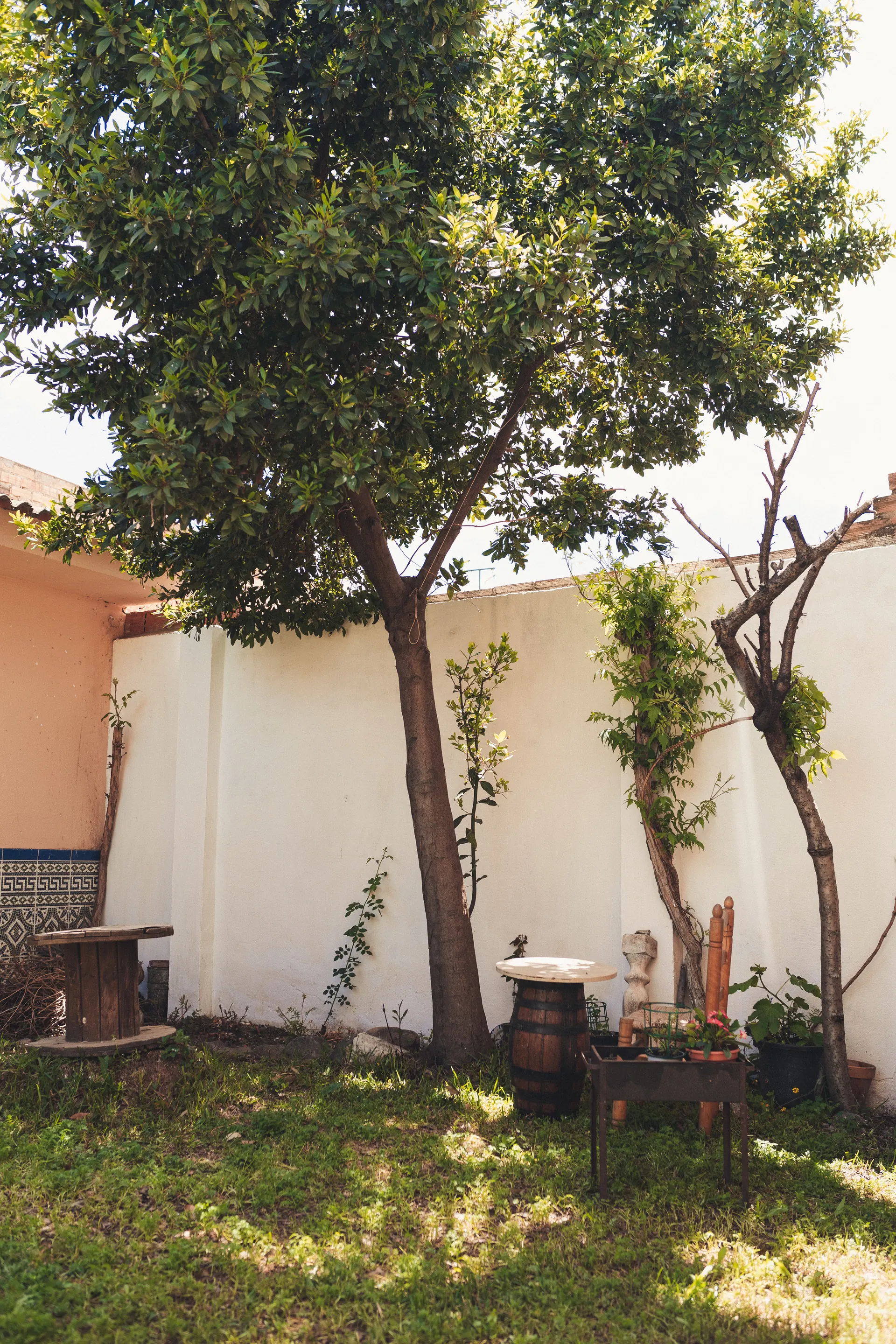 Rincón del jardín vallado a la sombra de un gran árbol